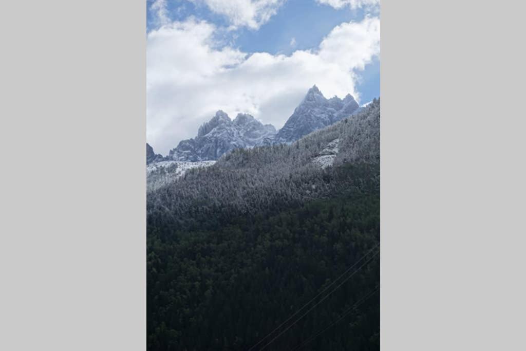 Appartamento Studio Face Au Mont-blanc