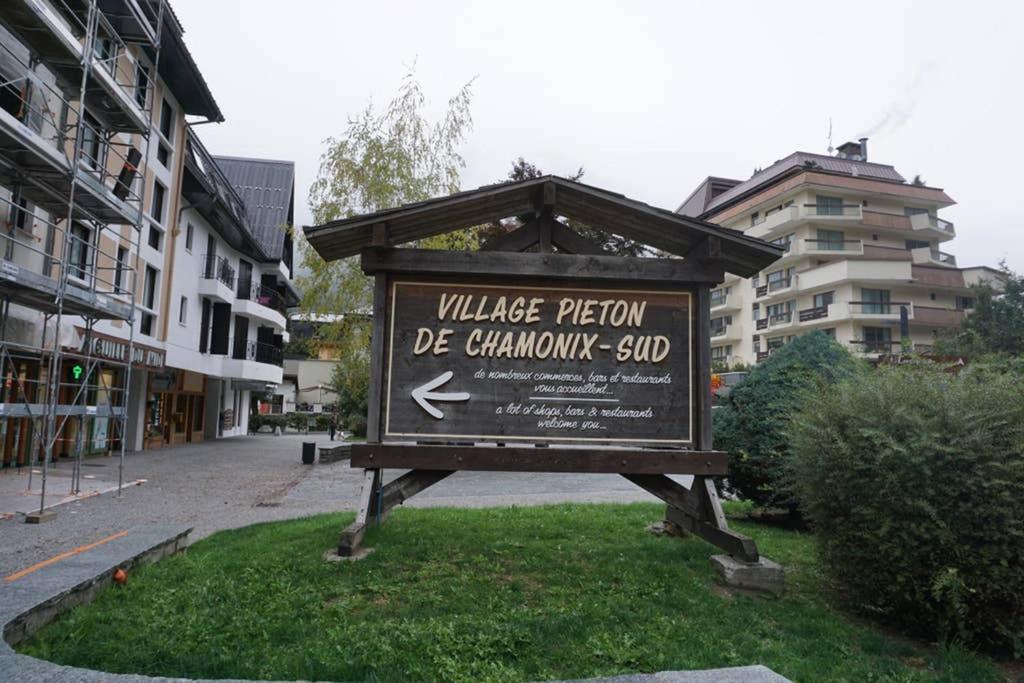 Studio Face Au Mont-blanc Apartment *