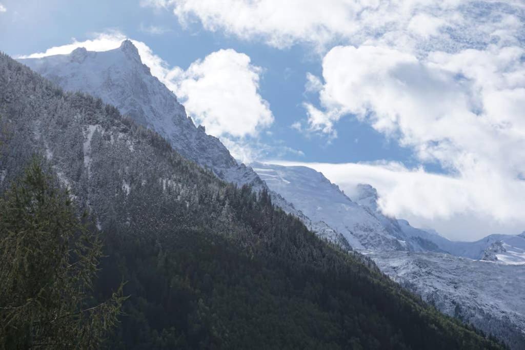 Appartamento Studio Face Au Mont-blanc